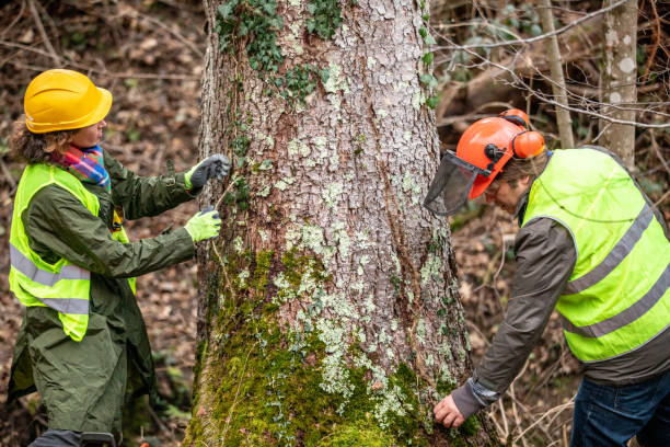 Best Tree Health Inspection  in Oskaloosa, KS